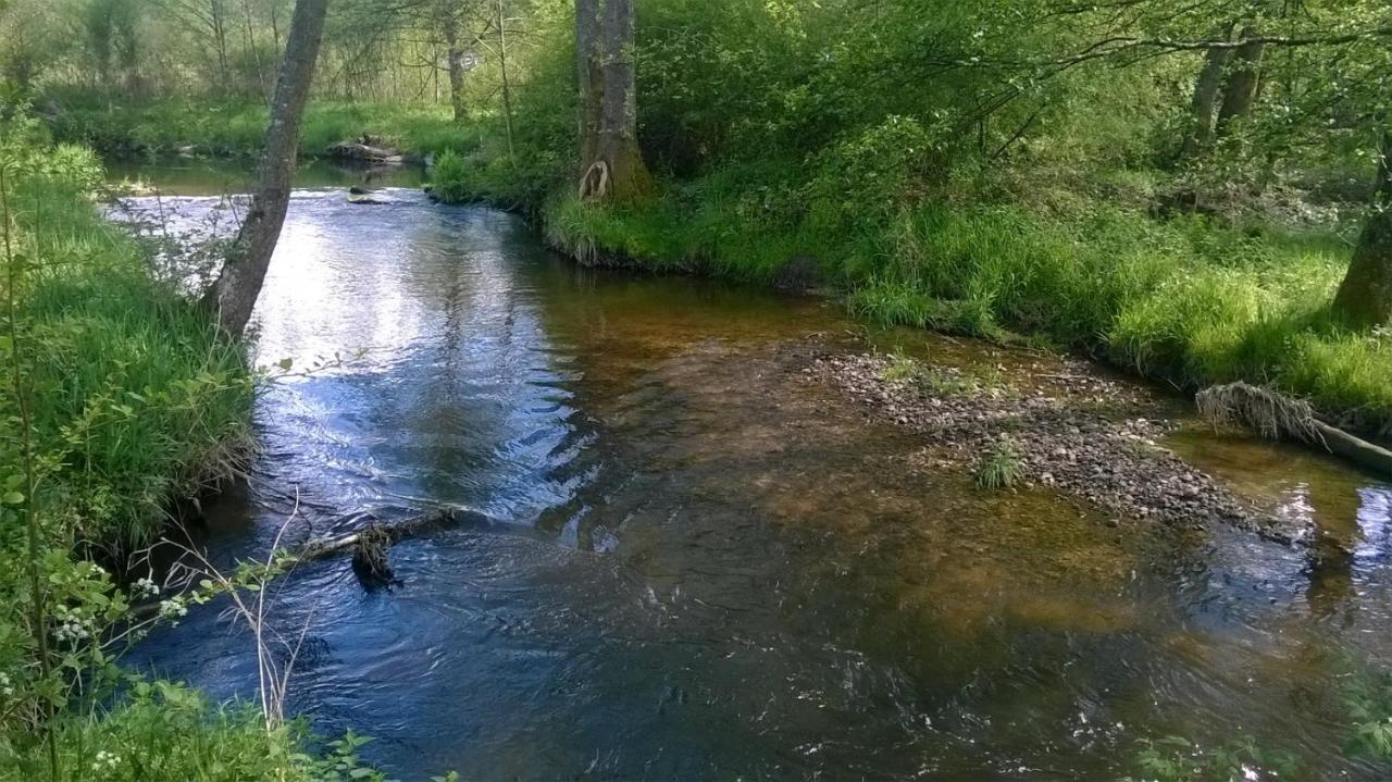 Les Gites De L Etang :Studio A 20 Mn De Gerardmer La Chapelle  Exteriör bild